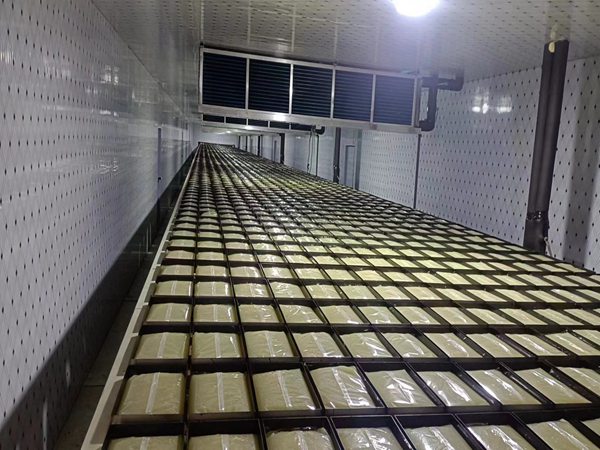 自動(dòng)搬運(yùn)機(jī)器人生產(chǎn)線廠家 青島賽邦的自動(dòng)搬運(yùn)機(jī)器人生產(chǎn)線圖